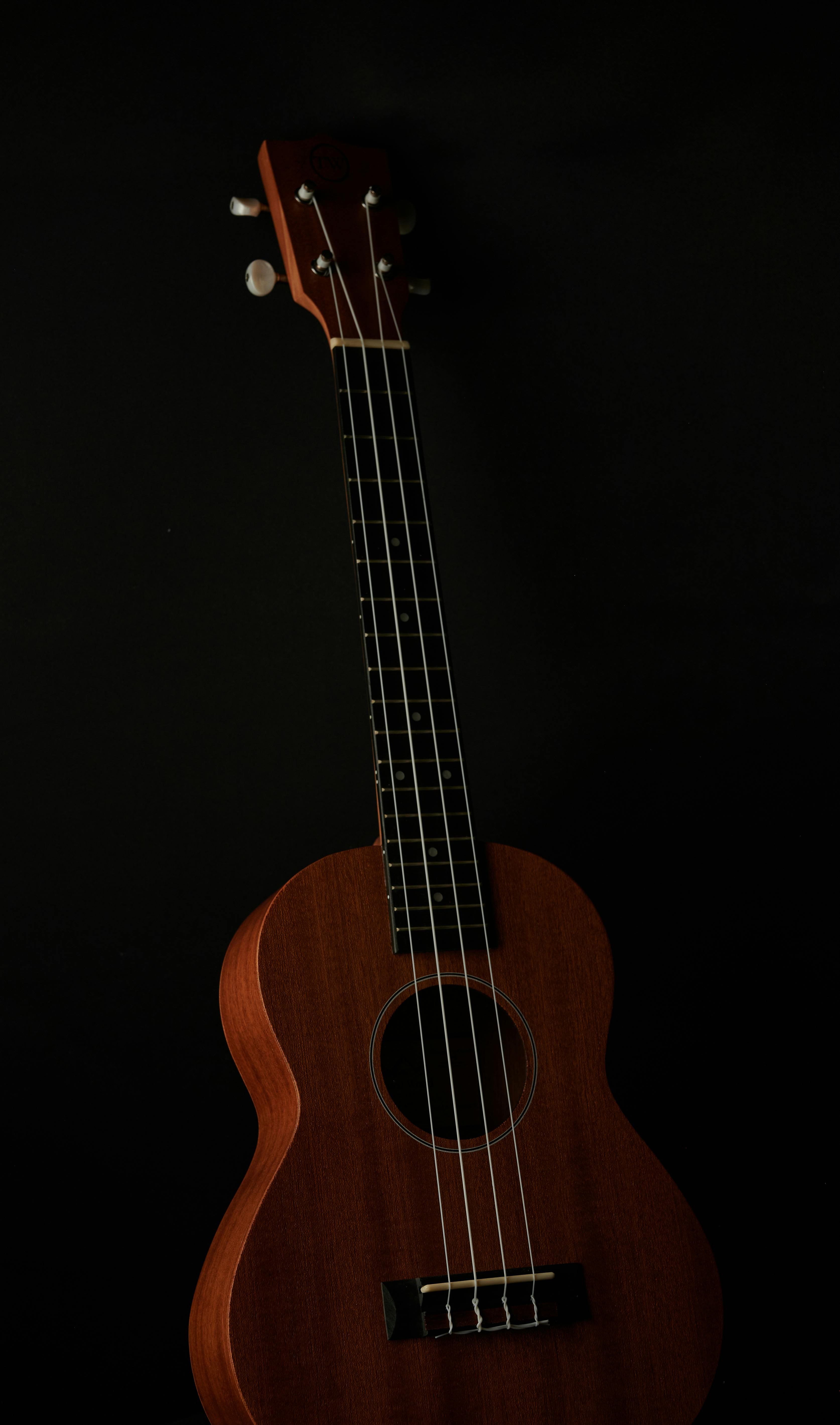 Ukulele